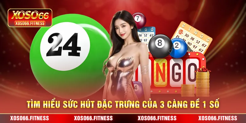 Tìm hiểu sức hút đặc trưng của 3 càng đề 1 số